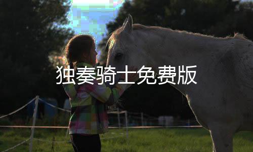 独奏骑士免费版下载