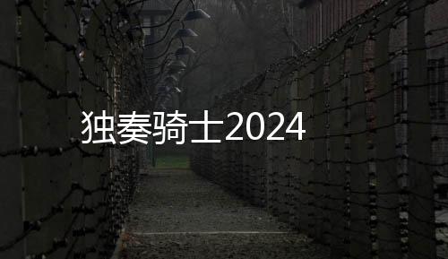 独奏骑士2024下载
