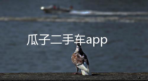 瓜子二手车app下载