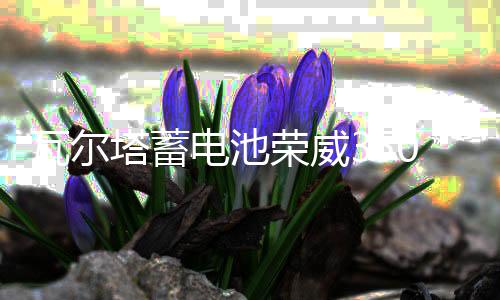 瓦尔塔蓄电池荣威350\360\550\750\950\RX5\i6\i5原装60A汽车电瓶下载