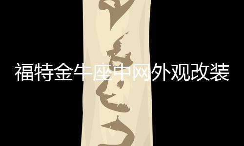 福特金牛座中网外观改装前脸保险杠车标大包围前铲专用装饰条配件下载