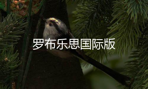 罗布乐思国际版下载