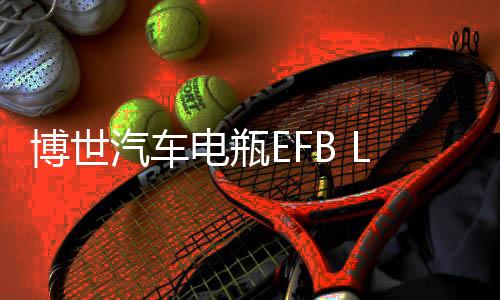 博世汽车电瓶EFB LN3适用奥迪明锐雪铁龙标致翼虎维护启停蓄电池下载