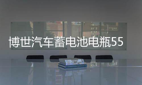 博世汽车蓄电池电瓶55B24RS适用雅阁奥德赛思铂睿思域crv逍客骐达下载