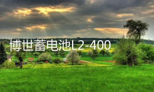 博世蓄电池L2-400适配速腾宝来朗逸新君越英朗科鲁兹60Ah汽车电瓶下载