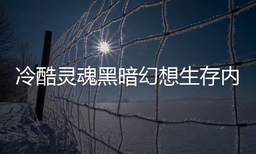 冷酷灵魂黑暗幻想生存内置修改器下载