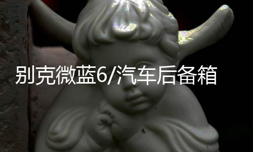 别克微蓝6/汽车后备箱改装专用隔板装饰隔物板收纳配件储物箱整理下载