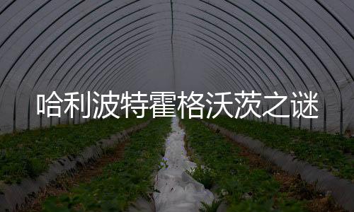 哈利波特霍格沃茨之谜下载