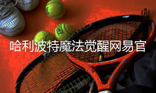 哈利波特魔法觉醒网易官方版下载
