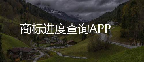 商标进度查询APP下载