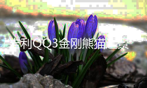 吉利QQ3金刚熊猫远景X1英伦金鹰全球鹰原装45AH电瓶瓦尔塔蓄电池下载