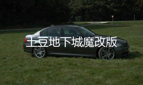 土豆地下城魔改版下载