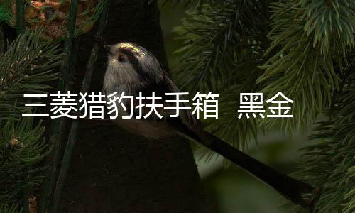 三菱猎豹扶手箱  黑金刚骑兵中央手扶箱改装配件越野稳固下载