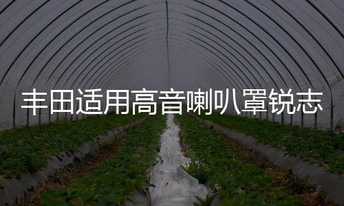 丰田适用高音喇叭罩锐志卡罗拉雷凌花冠威驰致炫雅力士三角位加装下载