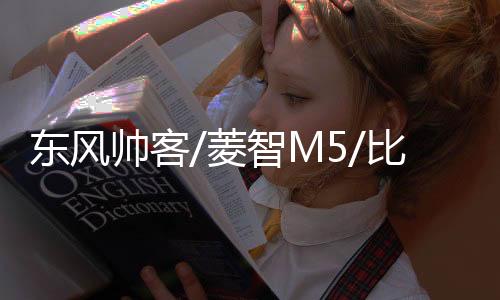 东风帅客/菱智M5/比亚迪G6/F6/S6思锐原装风帆60AH蓄电池汽车电瓶下载