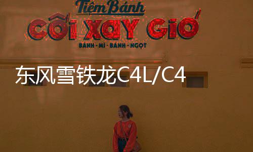 东风雪铁龙C4L/C4/C2世嘉1.6L富康C3-XR/C5原装电瓶瓦尔塔蓄电池下载