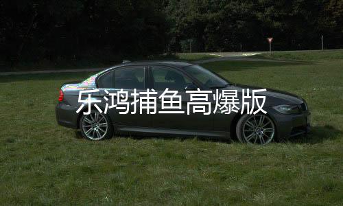 乐鸿捕鱼高爆版下载
