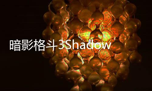 暗影格斗3Shadow Fight 3更新版下载