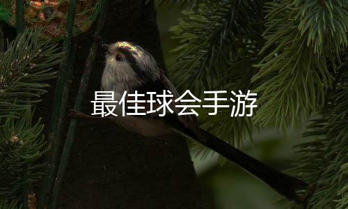 最佳球会手游下载