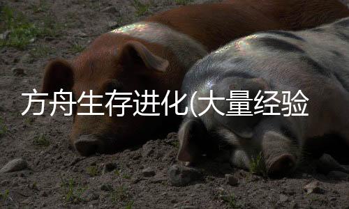 方舟生存进化(大量经验货币+武器耐久不减)下载