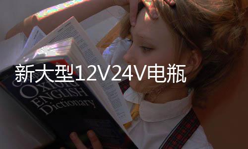 新大型12V24V电瓶充电器多功能60A型智能汽车全自动蓄电池充电机下载
