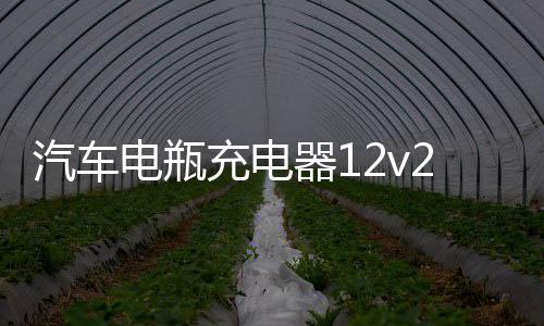 汽车电瓶充电器12v24v伏大功率纯铜充电机多功能全自动智能通用型下载