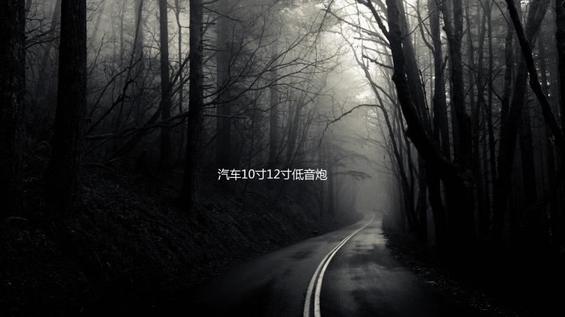 汽车10寸12寸低音炮空箱体无源低音炮箱体车载音响空箱体喇叭木箱下载