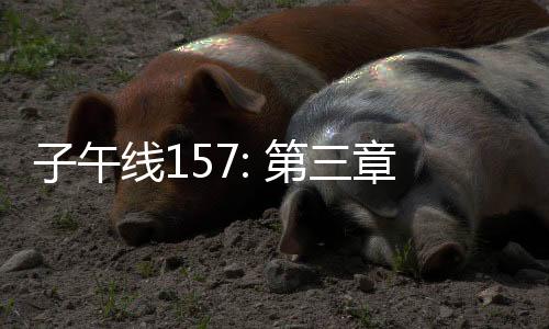 子午线157: 第三章下载下载