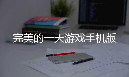 完美的一天游戏手机版下载