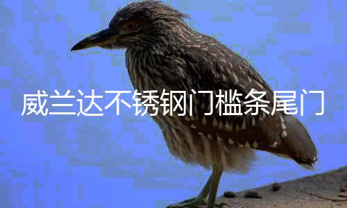 威兰达不锈钢门槛条尾门后备箱护板饰条防擦贴片内饰改装配件用品下载