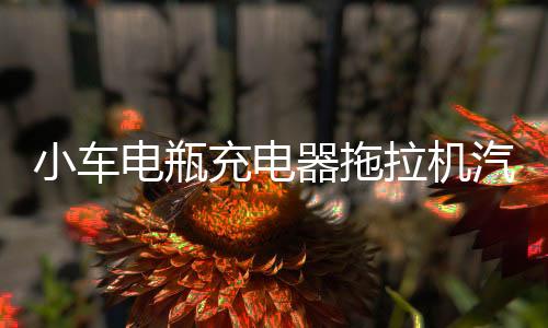 小车电瓶充电器拖拉机汽车AGM蓄电池全自动保护12V24V快速充电机下载