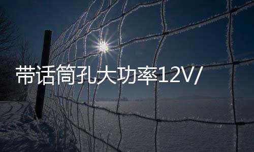 带话筒孔大功率12V/220V车车载蓝牙低音炮功放板汽车音响功放板下载