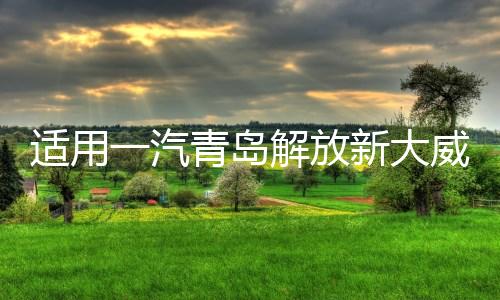 适用一汽青岛解放新大威大灯总成汽车重卡货车2010款前大灯前照灯下载