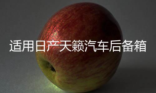 适用日产天籁汽车后备箱改装专用隔板装饰隔物板收纳配件储物尾箱下载