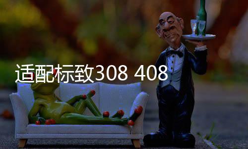 适配标致308 408世嘉16V 1.6标志307汽车发电机曲轴皮带轮 配件下载