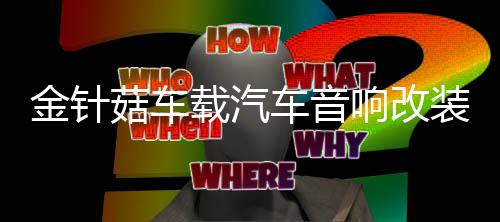 金针菇车载汽车音响改装套装喇叭扬声器6.5寸重低音同轴喇叭高音下载