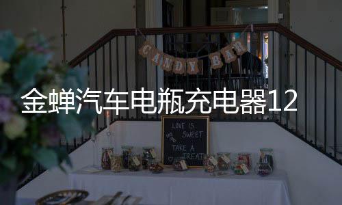 金蝉汽车电瓶充电器12v24v大功率专用200a全自动智能小车通用型60下载