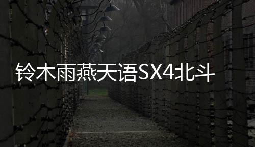 铃木雨燕天语SX4北斗星X5奥拓1.5L原装45AH汽车电瓶瓦尔塔蓄电池下载