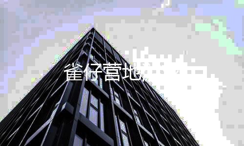 雀仔营地游戏下载