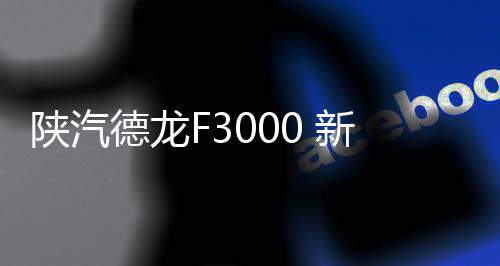 陕汽德龙F3000 新M3000 X3000 L3000大货车专用汽车吹尘枪吹气枪下载