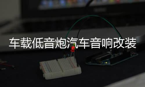 车载低音炮汽车音响改装同步专用12v24v大功率超重低音座椅后备箱下载