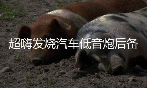 超嗨发烧汽车低音炮后备箱音响 12寸有源震撼重低音车载12v大功率下载