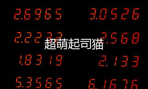 超萌起司猫下载