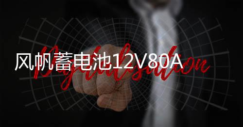 风帆蓄电池12V80A风骏普拉多陆巡赛影95D31L免维护汽车电瓶下载