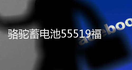骆驼蓄电池55519福特福克斯嘉年华马自达3/2赛欧汽车电瓶12V55ah下载