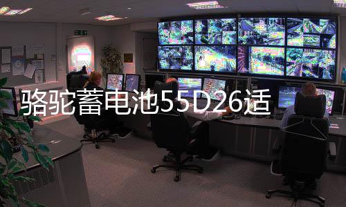 骆驼蓄电池55D26适配马自达5索纳塔凯美瑞60ah汽车电瓶 以旧换新下载