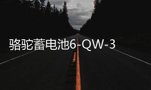 骆驼蓄电池6-QW-36适用于本田飞度哥瑞理念锋范汽车电瓶 以旧换新下载