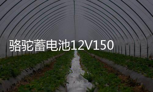 骆驼蓄电池12V150AH大功率大容量船舶逆变器照明摆摊大货车电瓶下载
