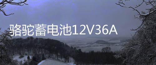 骆驼蓄电池12V36AH汽车电瓶适配铃木奥拓锋范背机旋耕机三轮车1DF下载