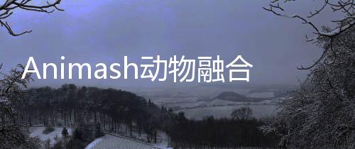 Animash动物融合模拟破解版下载